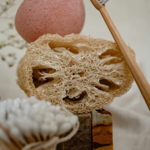 Wooden Toothbrush